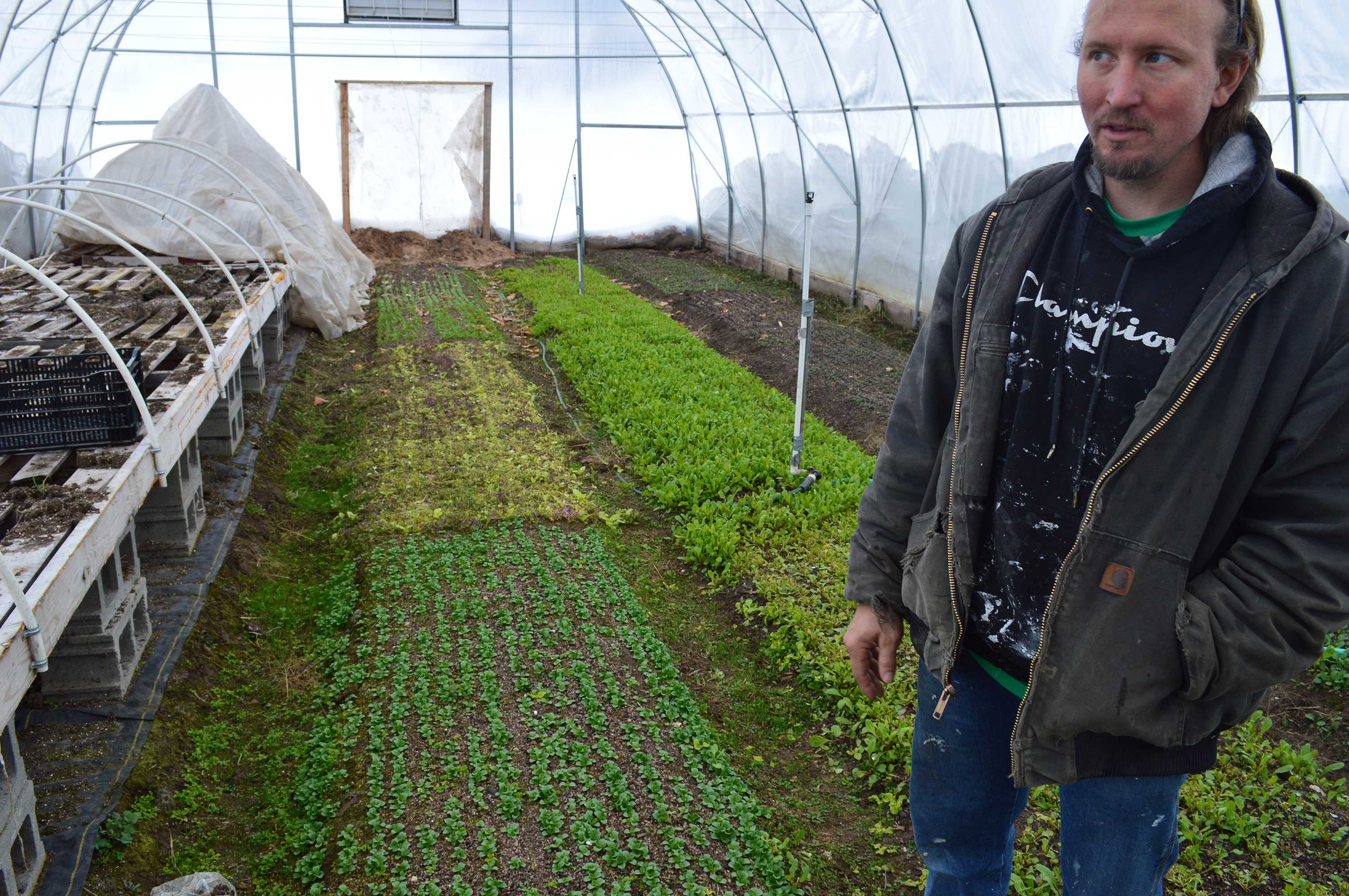 Overwintering at 9 Bean Rows