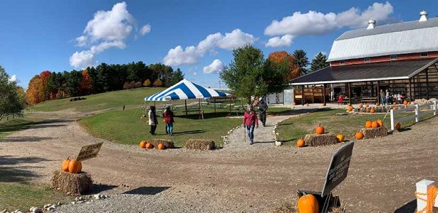 Not Just a Corn Maze